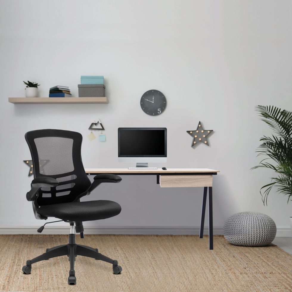 Nautilus Luna Office chair in home office location
